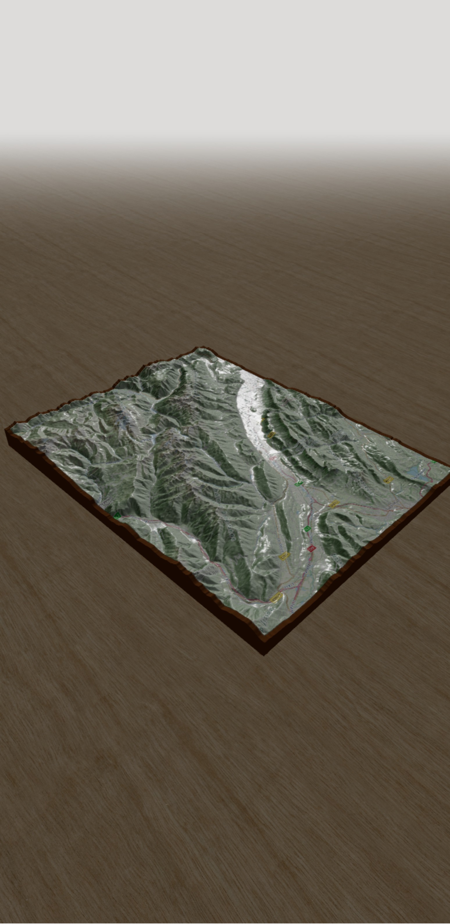 Rendu 3D de la carte en relief