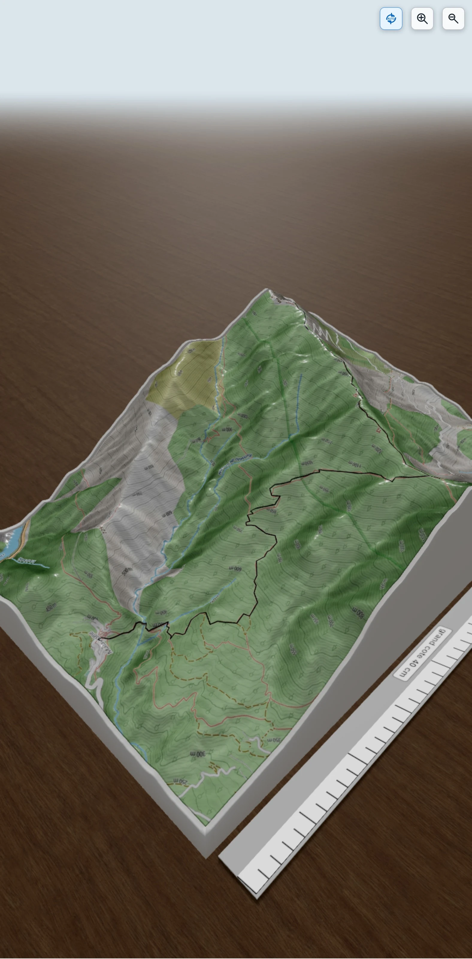Carte en relief 3D de montvial, avec relief topographique